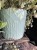 IMG_9990.jpeg