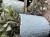 IMG_9989.jpeg