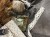 IMG_0047.jpeg