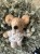 IMG_0062.jpeg