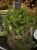 IMG_0069.jpeg
