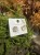 IMG_0076.jpeg