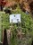 IMG_0081.jpeg