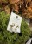 IMG_0084.jpeg