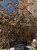 IMG_0116.jpeg