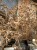 IMG_0117.jpeg