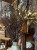IMG_0121.jpeg