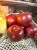 IMG_0132.jpeg
