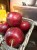 IMG_0133.jpeg