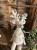 IMG_8385.jpeg