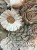 IMG_0195.jpeg