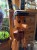 IMG_0216.jpeg