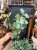 IMG_0229.jpeg