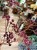 IMG_0250.jpeg