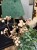 IMG_0254.jpeg