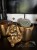 IMG_0238.jpeg