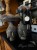 IMG_0267.jpeg