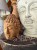 IMG_0272.jpeg