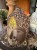 IMG_0280.jpeg