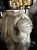 IMG_0291.jpeg