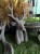 IMG_0398.jpeg