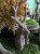 IMG_0399.jpeg