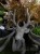 IMG_0400.jpeg