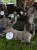 IMG_0401.jpeg
