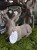 IMG_0402.jpeg