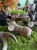 IMG_0404.jpeg