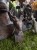 IMG_0406.jpeg