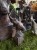 IMG_0407.jpeg