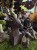 IMG_0408.jpeg