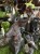 IMG_0409.jpeg