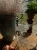 image-2800434727002242.webp
