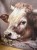 IMG_0464.jpeg
