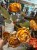 IMG_0622.jpeg