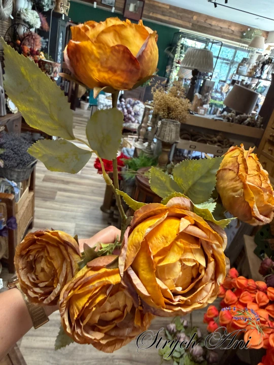 IMG_0622.jpeg