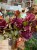 IMG_0625.jpeg