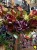 IMG_0627.jpeg