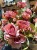 IMG_0633.jpeg