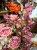 IMG_0635.jpeg