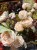 IMG_0636.jpeg