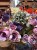 IMG_0640.jpeg