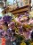 IMG_0642.jpeg