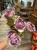 IMG_0644.jpeg