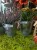 IMG_0658.jpeg