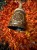 IMG_0700.jpeg