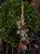 IMG_0704.jpeg