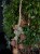 IMG_0705.jpeg
